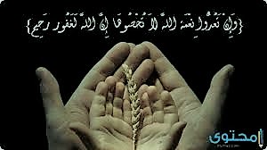 غلاف